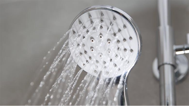 showerhead as a single device that discharges water