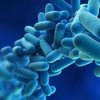 Best practices for Legionella mitigation