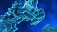 Best practices for Legionella mitigation