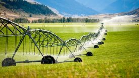 irrigation (farming)