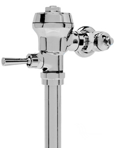Delany flush valve