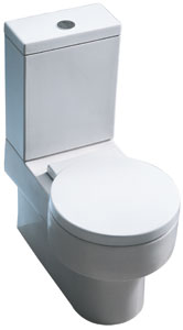 Caroma dual-flush toilet