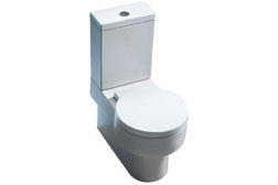 Caroma dual-flush toilet