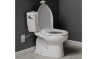 Heated toilet seat from Bemis