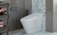 Electronic bidet smart toilet FROM dxv