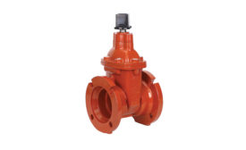 Wedge gate valve from Smith-Cooper